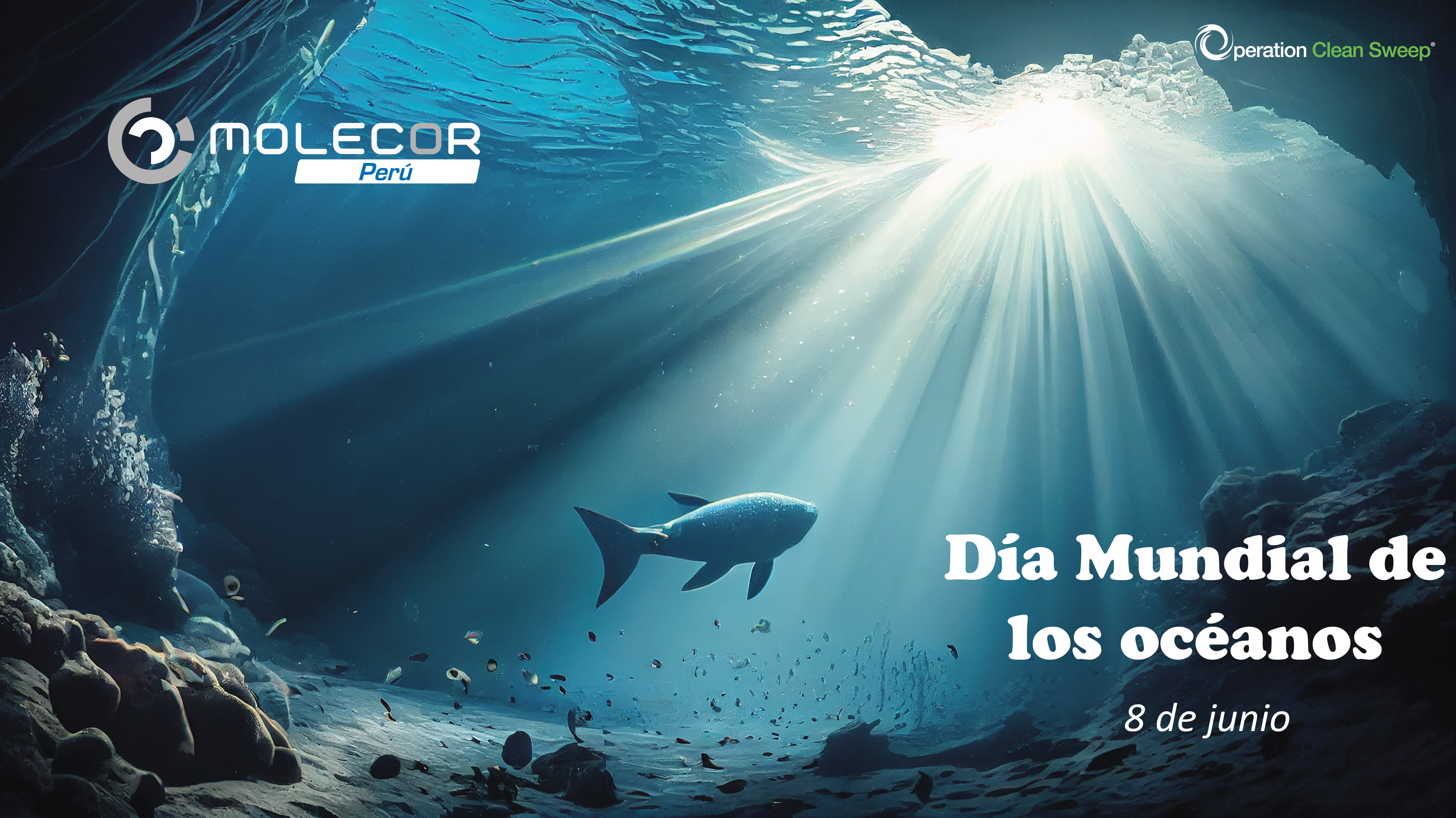 Día Mundial de los océanos