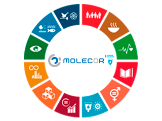 La importancia de la accesibilidad al agua para Molecor