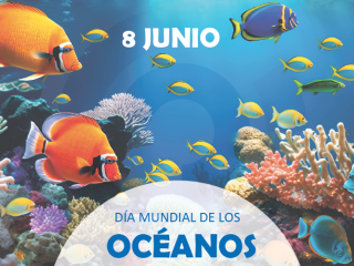 Compromiso con los océanos: Molecor Perú y su lucha activa contra los microplásticos