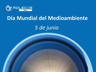 Día Mundial del Medioambiente