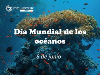 Día Mundial océanos